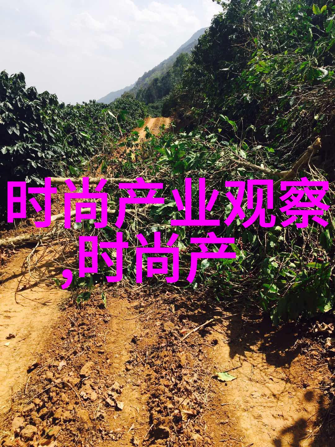 风度翩翩背后的故事与力量