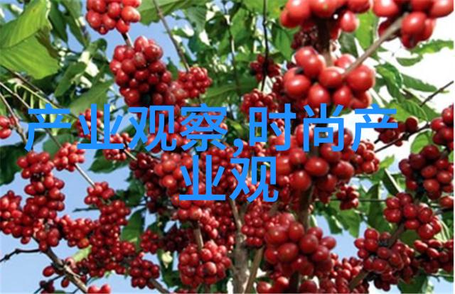 从零到英雄超短发女孩的成长故事与秘诀