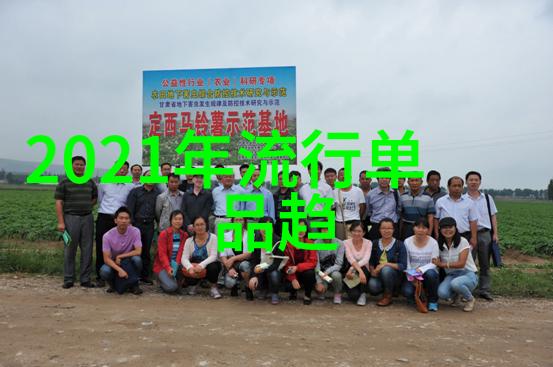 夏季美发趋势揭秘今年最火的短发女孩造型