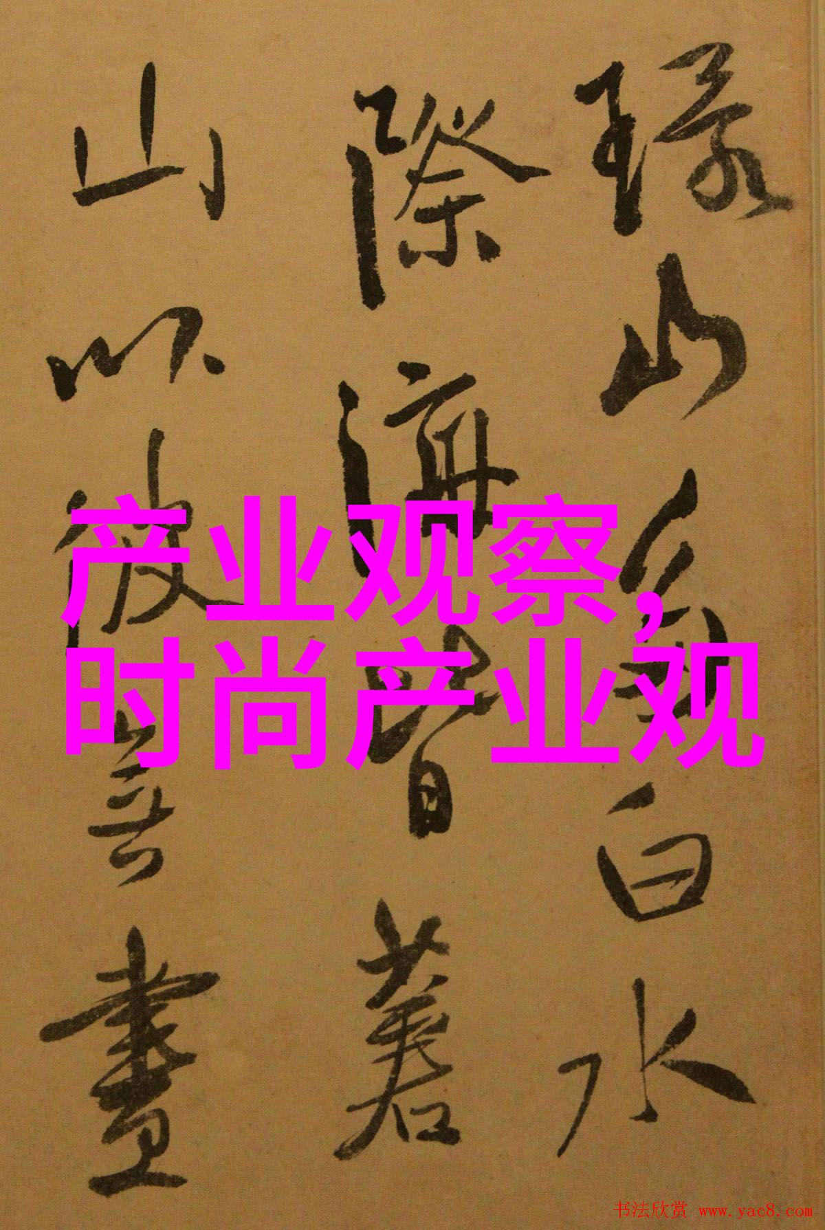 视频讲解美发技艺现场教学的魅力与实用性