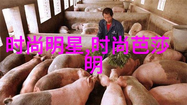 时尚空间解读当代流行文化与建筑艺术的交汇点