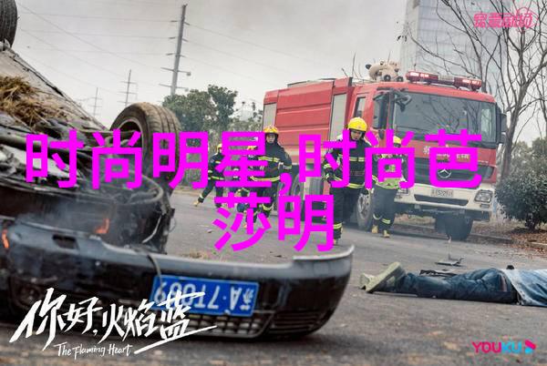 cookerking手法解析掌握基础技巧让每一道菜都精致绝伦