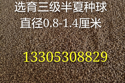 古驰香水的守护者小众又平价的香水之选耳熟能详却又不为人知