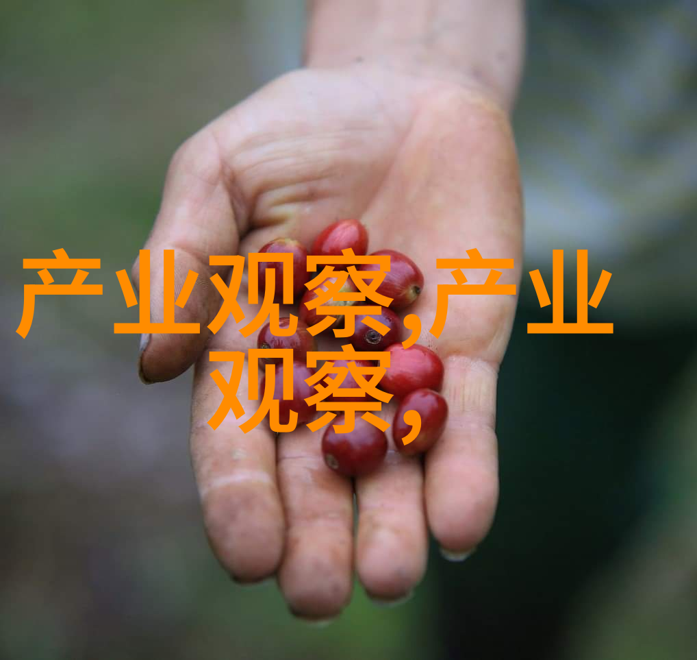 初学者必备的剪发基础知识和技巧