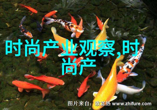 QQ人气精灵虚拟世界中的真实魅力