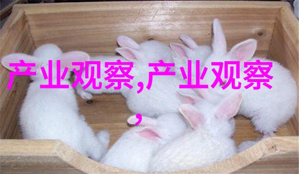 休闲生活-轻松搭配休闲裤如何与不同鞋款完美融合