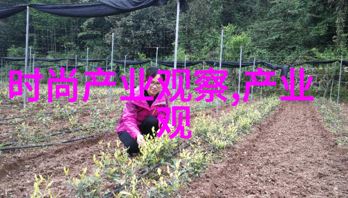 我和毛呢大衣的故事穿越寒风我与毛呢大衣的暖心对话