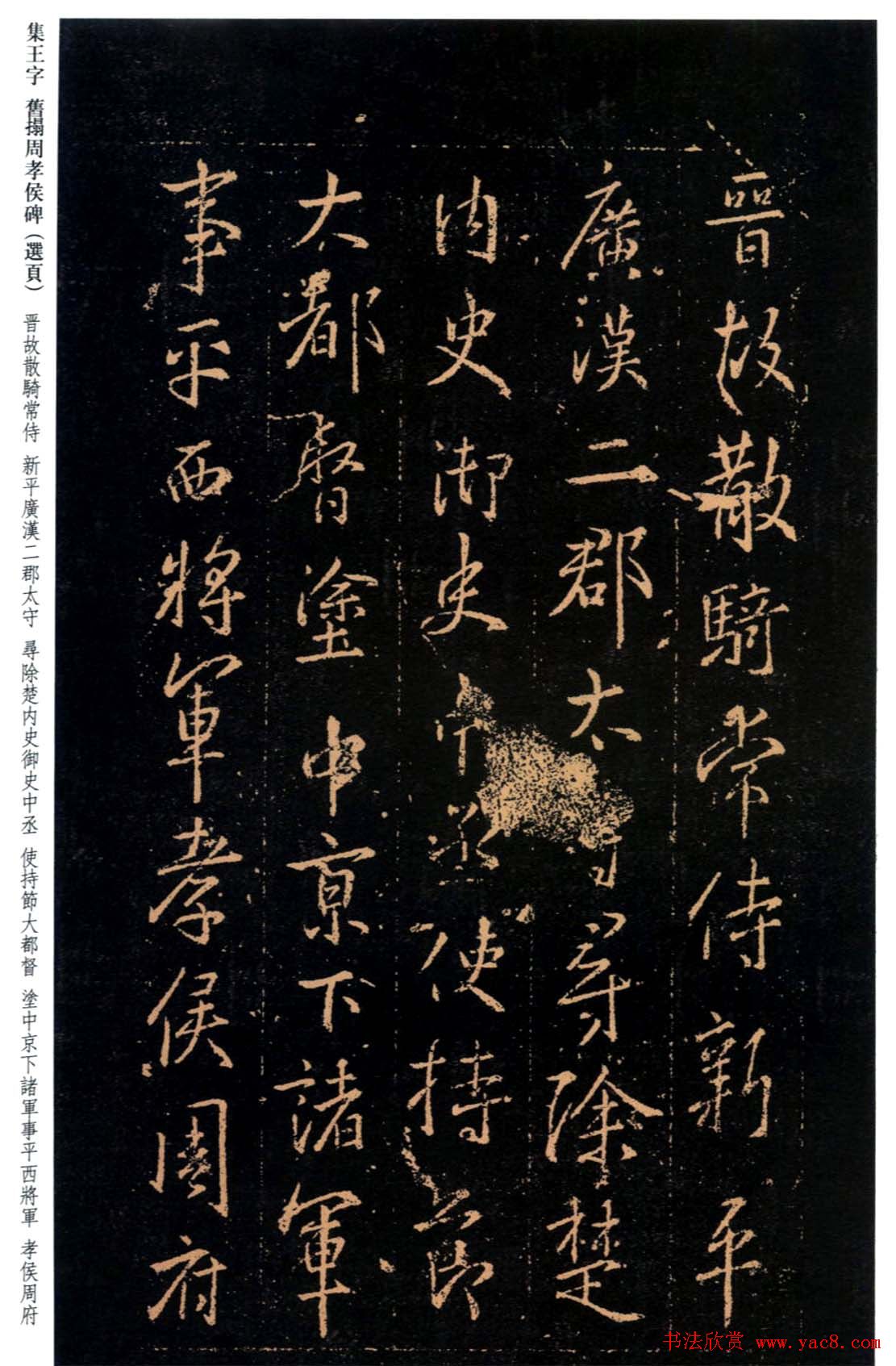 人物传记-张健铁腕管理者与创新引领者