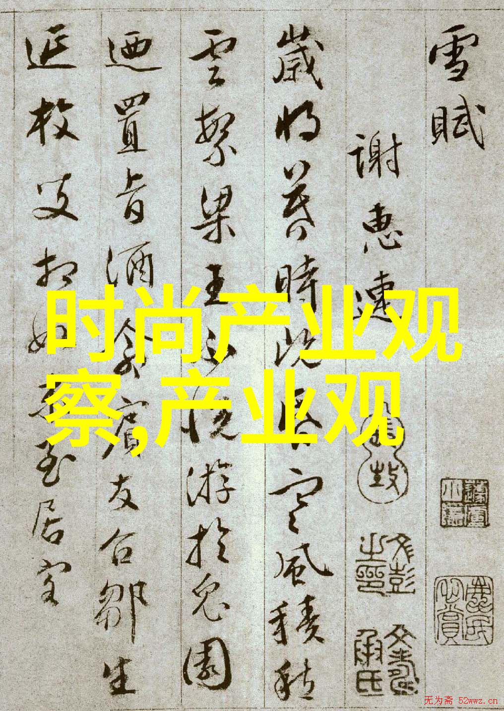 舞鞋-轻盈翩跹舞鞋背后的故事与魅力