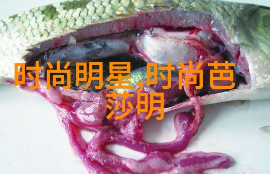 我是IT新人st运盛如何在技术海洋中游刃有余