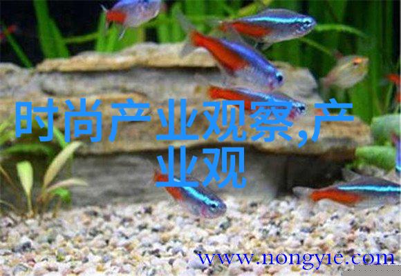 2022年最流行的女生发型时尚界的新宠儿