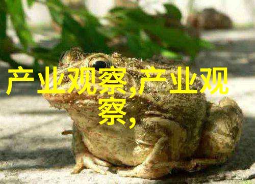 潮男时尚之谜揭秘那些穿搭神技