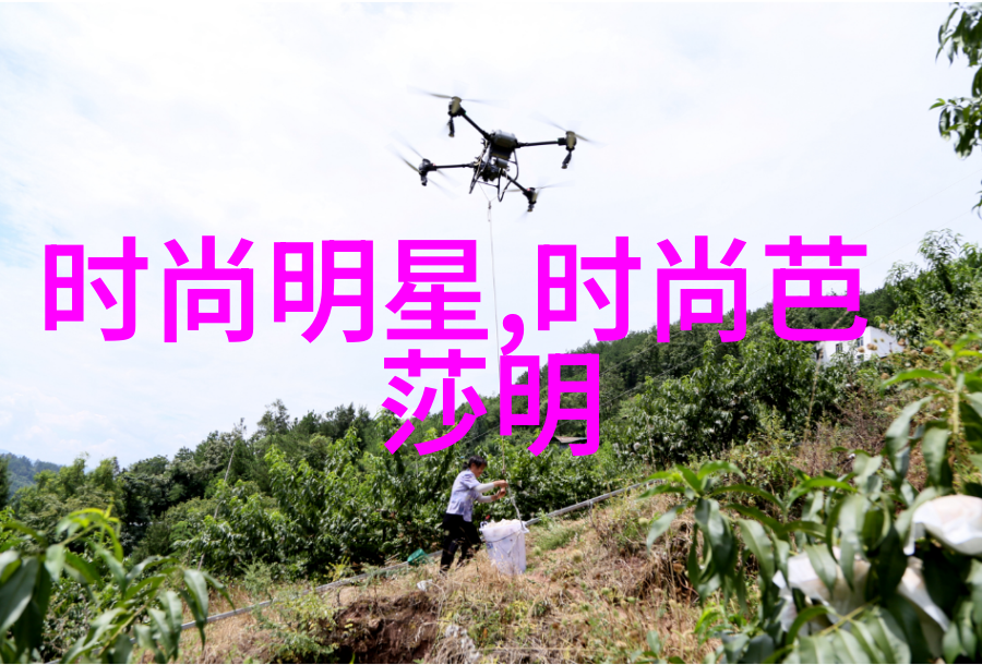 剪发艺术从基础技巧到高级造型的精髓