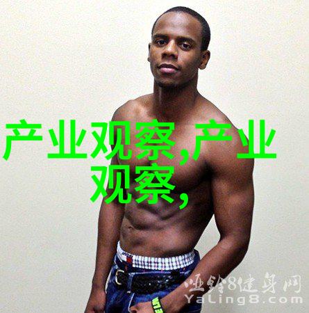 火焰中的舞者玩火txt的隐喻与现实