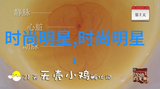 美发设计师培训课程专业的美发造型与染发技术