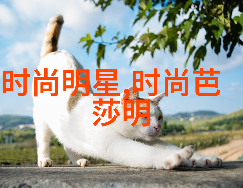 女孩们的时尚新趋势2023流行发型大集合时下最酷炫女孩头发造型