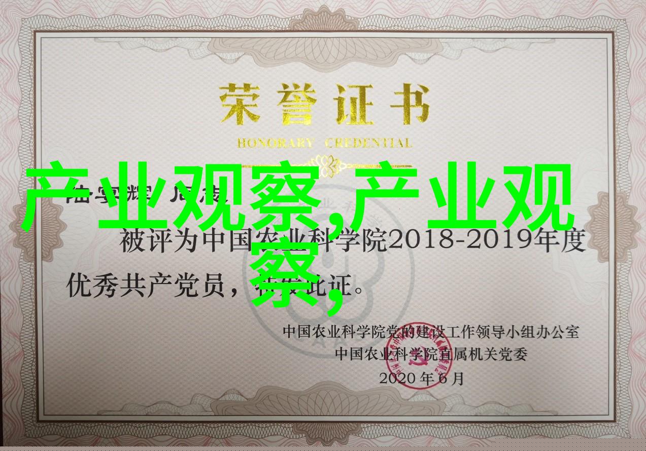 身份号019-数字纹章揭秘身份号019背后的故事与意义