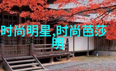 骄阳伴我小说夏日冒险的热烈回响