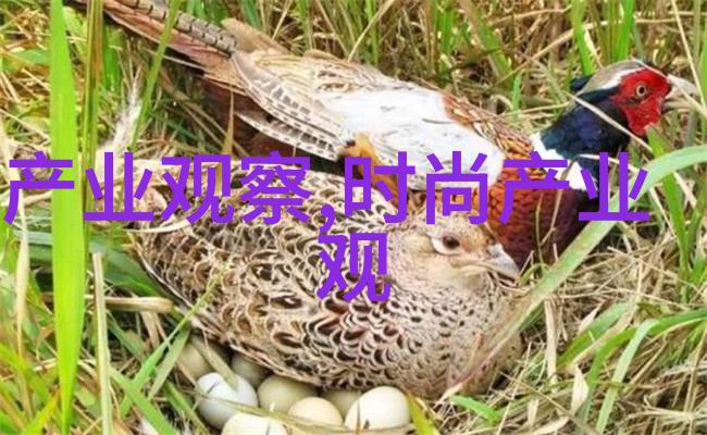 染发基础知识理论解析