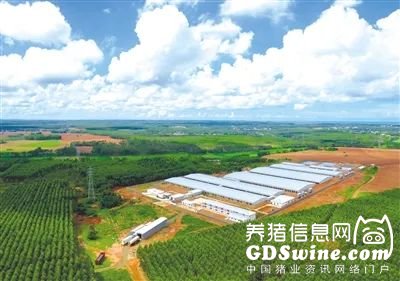 40岁女人适合的碎发发型选择