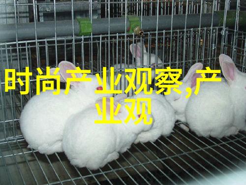 男生服装搭配网我是怎么从混乱中找到自己的时尚风格