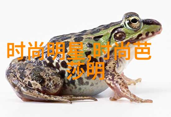 杨九郎老婆大闹德云社背后的原因与社会反响