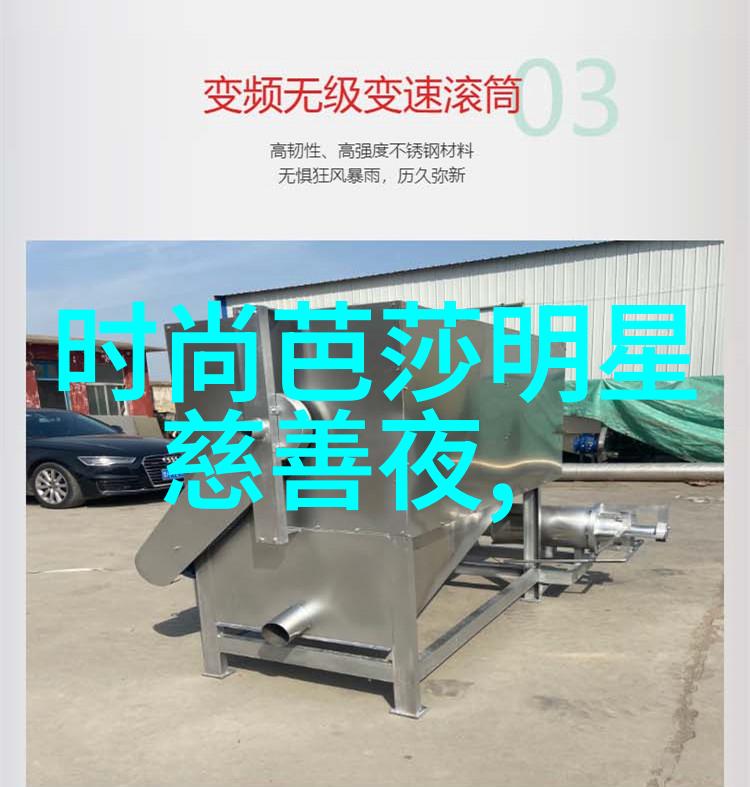 岁岁年年柿子红传承的味道与时光的印记
