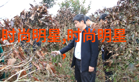 剪影中的领袖男士风衣的孤独舞