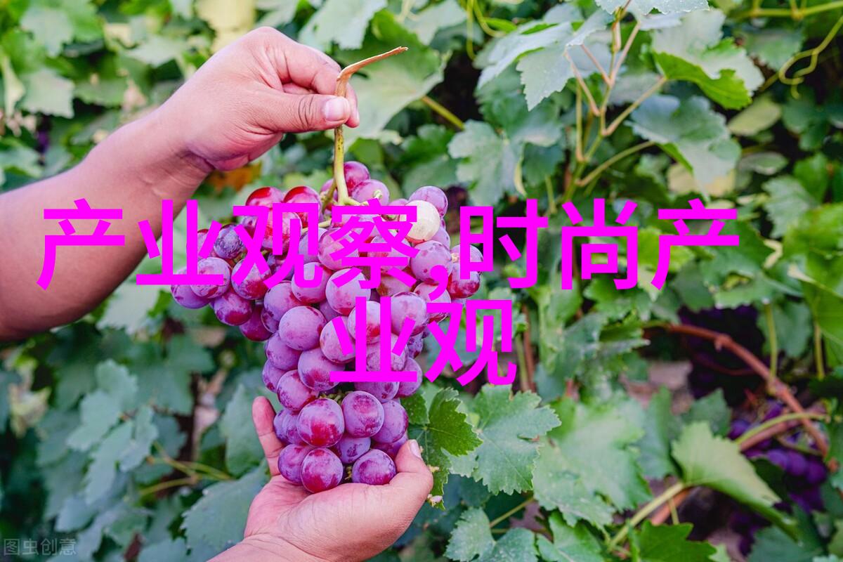 时尚潮流-今年流行什么发型好看解密2023年最美头发造型