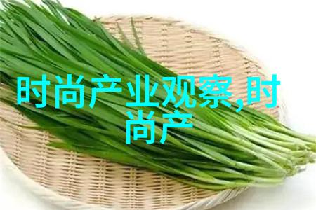 副官高级军事或行政助手