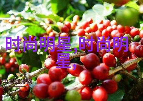 桃花源共享爸爸与妈妈的奇幻旅程