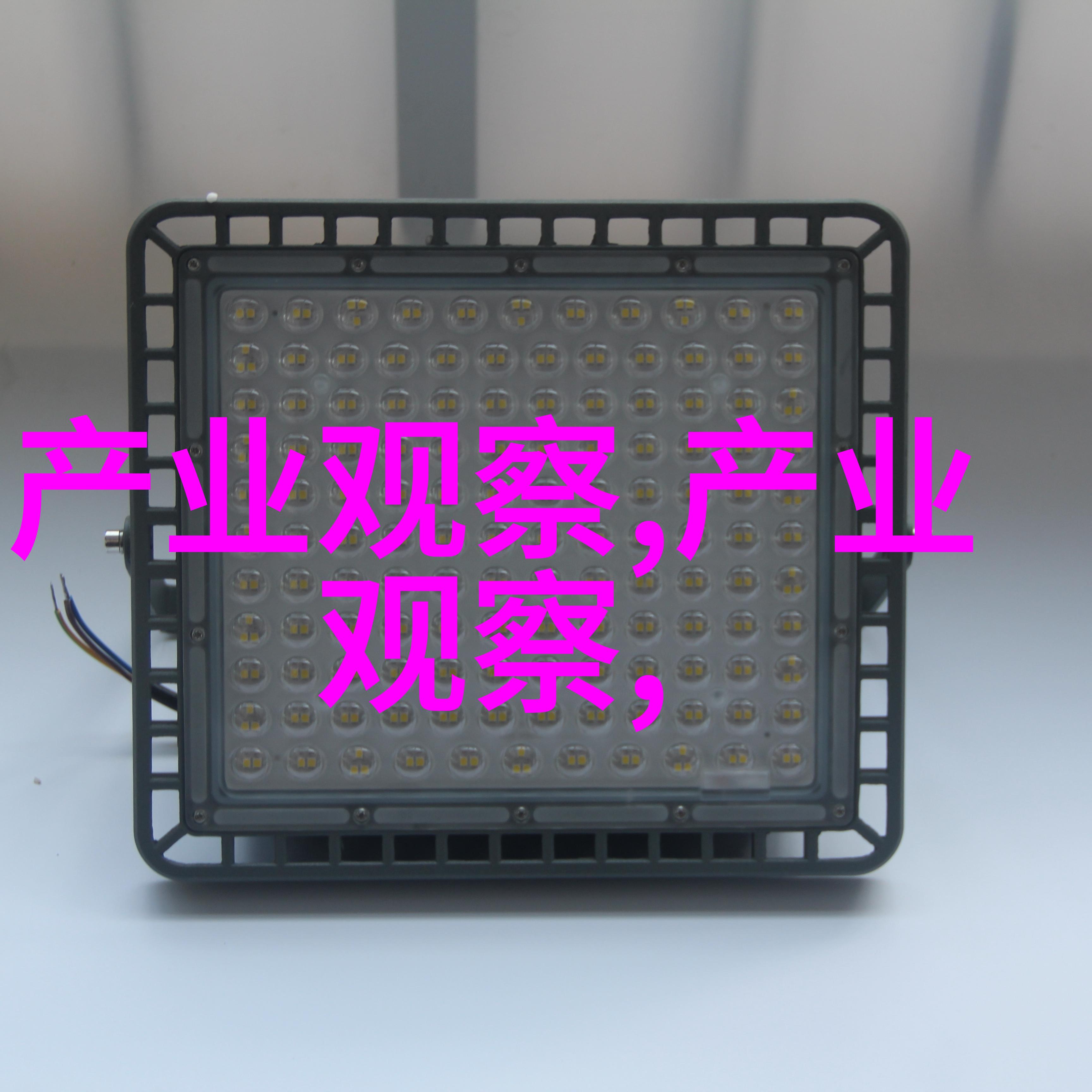 敢与小东西对峙一场勇气与智慧的较量