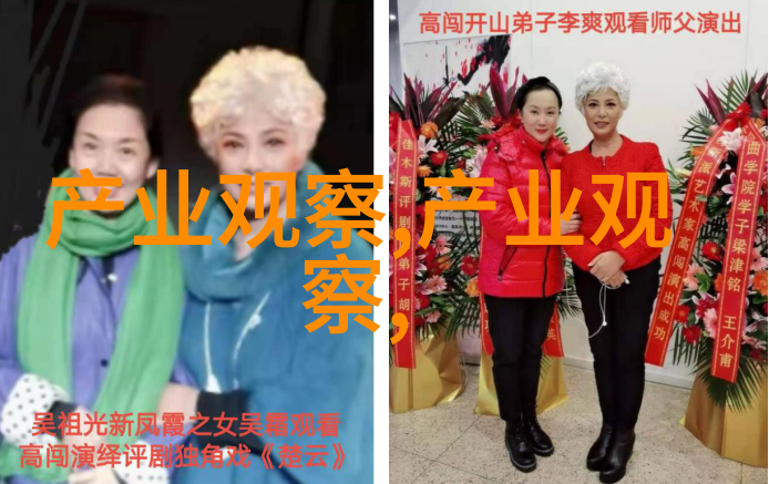 度嘉班妮我和度嘉班妮的那些冒险日子