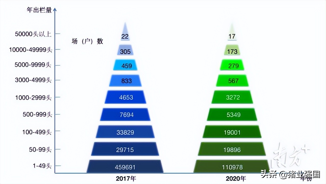 射雕英雄传续集江南七侠新征程