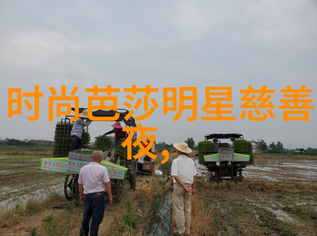 6. 了解不同国家对学徒制的看法决定你的职业道路