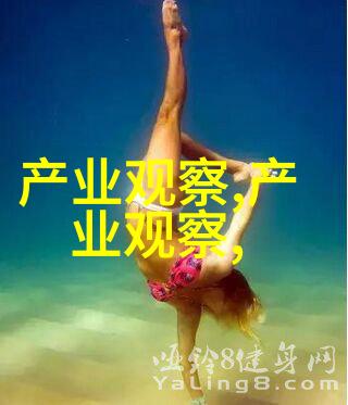 数码纬度探索361的无限可能