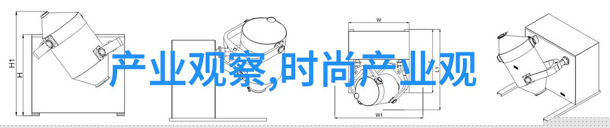 炸鸡烹饪技巧从外皮到肉质掌握每一个细节