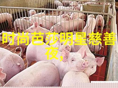 旗袍礼服传统魅力与现代韵律的完美融合