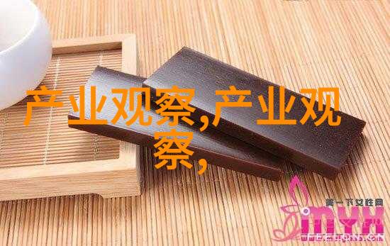 当土鳖遇上海龟txt - 龟城奇遇土鳖的上海梦想之旅