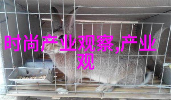 秋元才加主演电影剧场版媚空24小时免费看的视频哔哩哔哩轻触屏幕影视盛宴尽在眼前