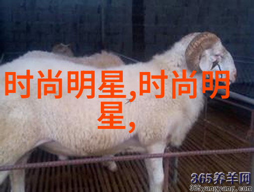 发型设计应用哪款最受欢迎