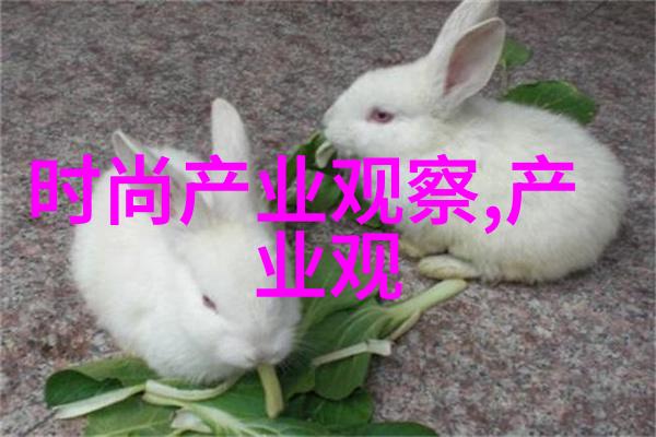 时尚前沿探索最新短发造型的艺术与魅力