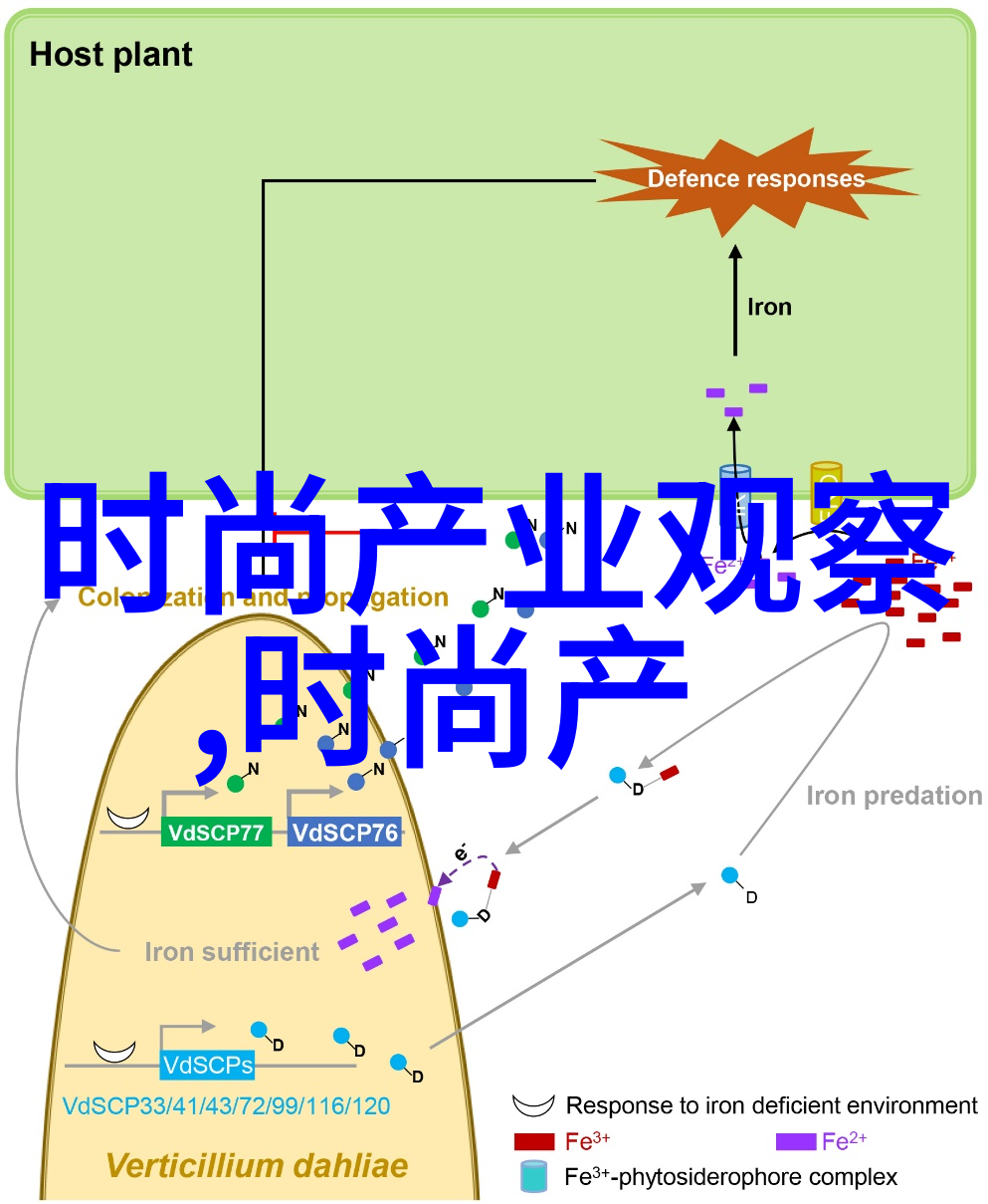 啦啦啦中文日本版免费高清完整体验