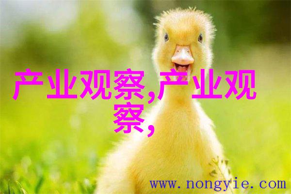 丫头牦户一张一合传统文化中的亲情与互助