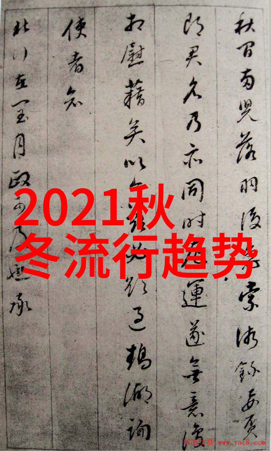 女士长发剪发技巧基础手法解析