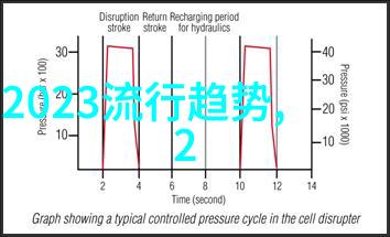探索全球各地风格独特的羽绒服女款时尚趋势