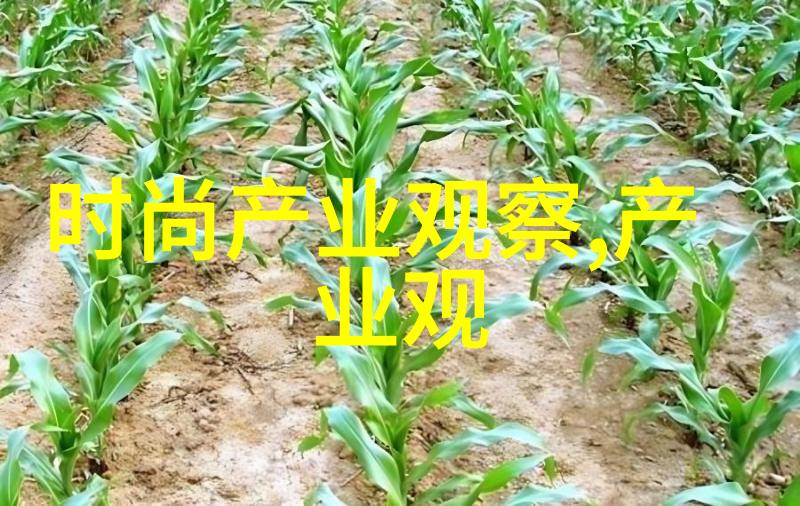 教你理发视频从基础剪发技巧到时尚造型