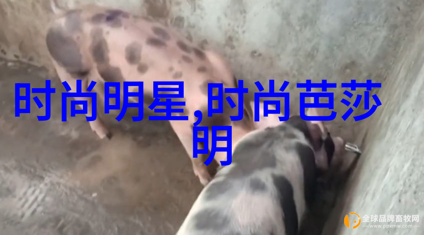 主题我是怎么回忆起2012年的党性分析报告的