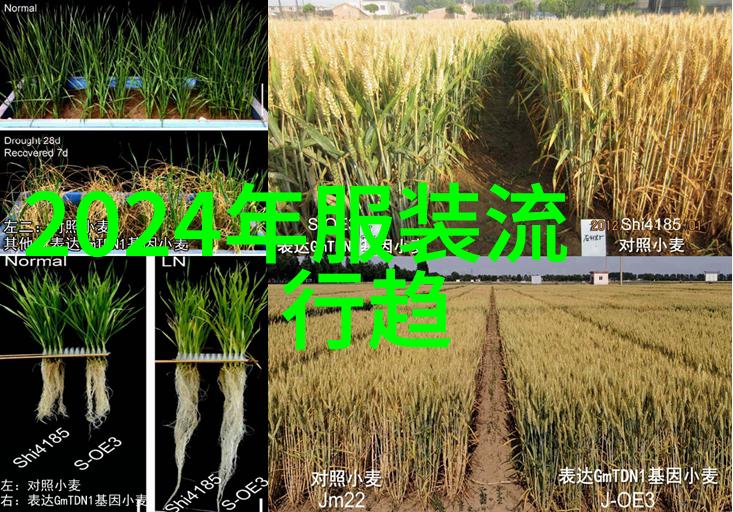 理发教程DIY美发技巧家居美发修剪