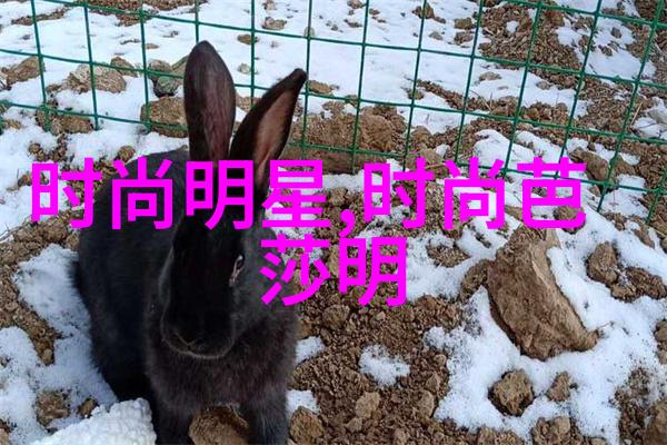 宝姿的连衣裙社会时尚平台上夏天必备款式探索